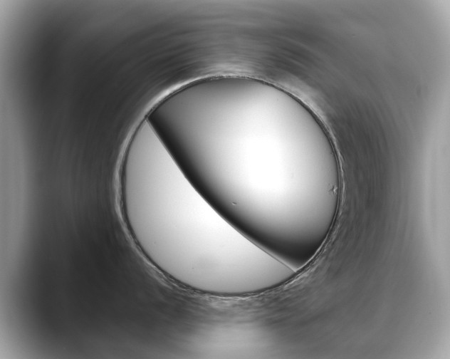 X0000088721056200705311053