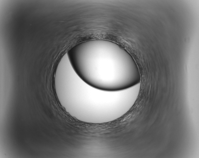 X0000088721057200705311053