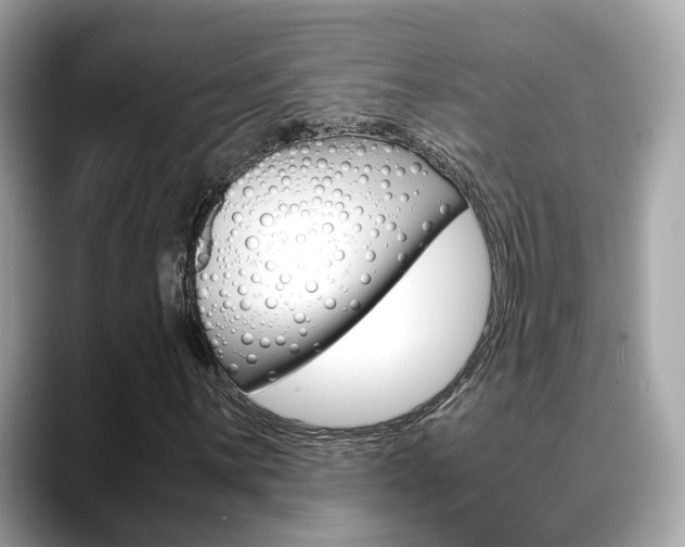 X0000088721059200705311053