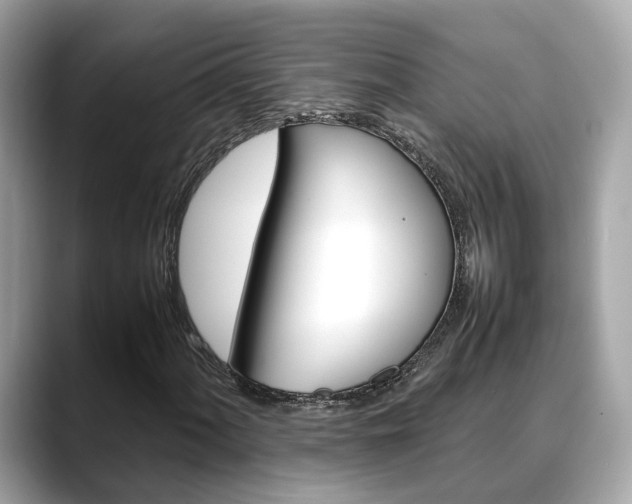 X0000088721060200705311053