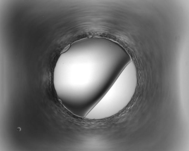 X0000088721061200705311053