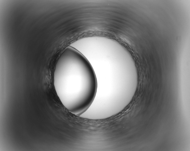 X0000088721062200705311053