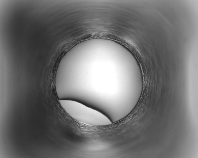 X0000088721063200705311053