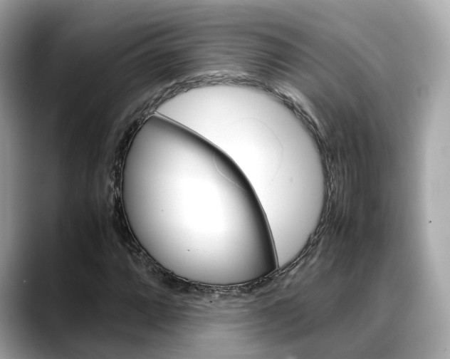 X0000088721064200705311053