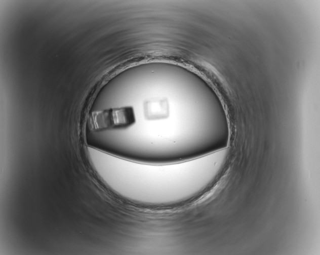 X0000088721065200705311052