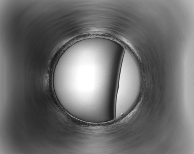 X0000088721066200705311052