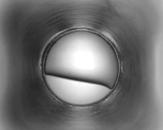 X0000088721068200705311052