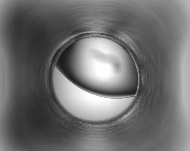 X0000088721069200705311052