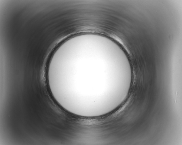 X0000088721074200705311052