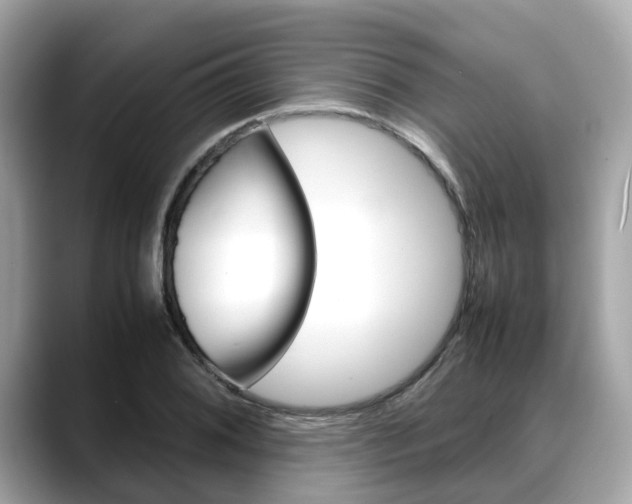 X0000088721076200705311052