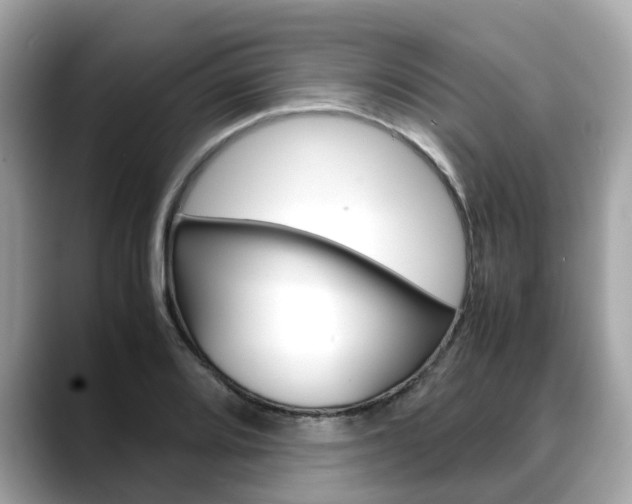 X0000088721080200705311052