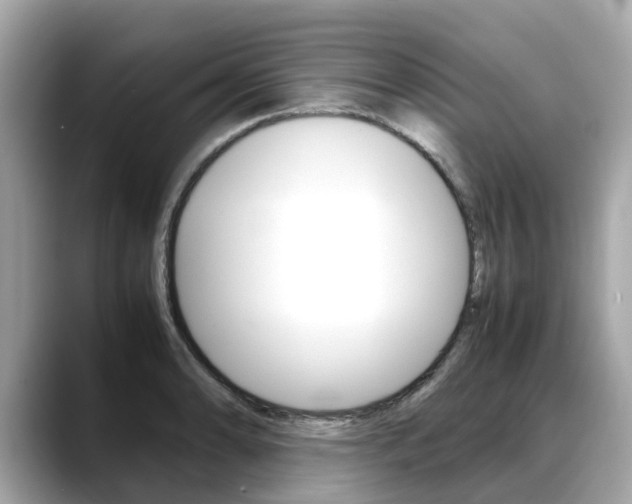 X0000088721086200705311052