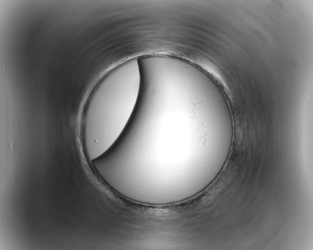 X0000088721088200705311052