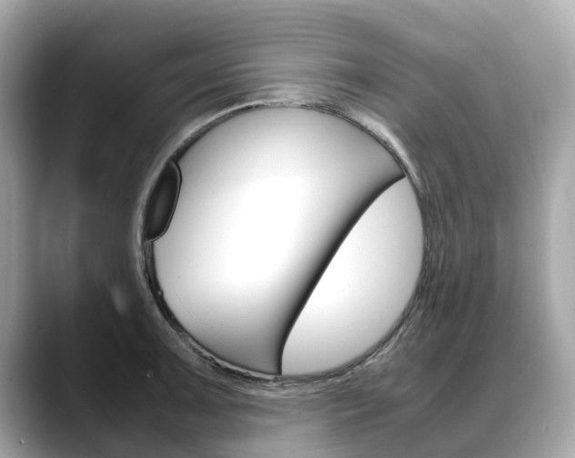 X0000088721091200705311052