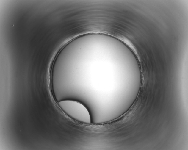X0000088721096200705311052