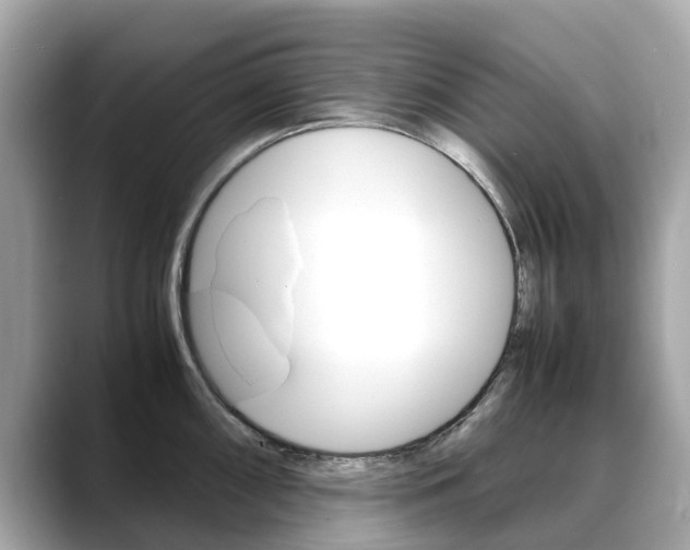 X0000088721098200705311052