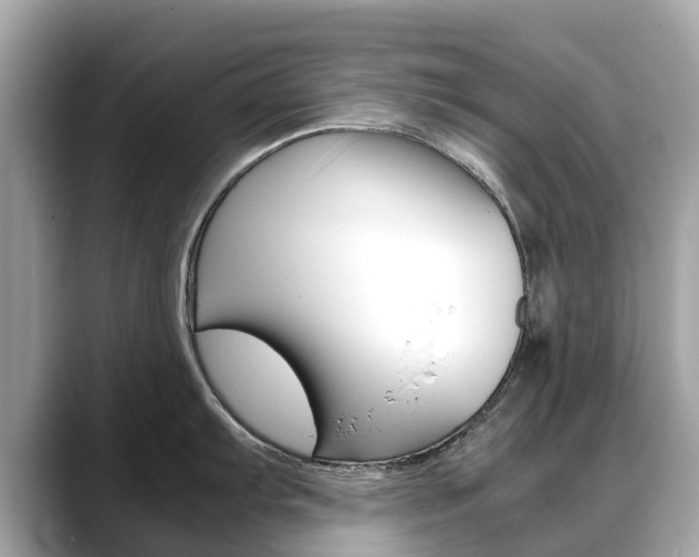 X0000088721103200705311052