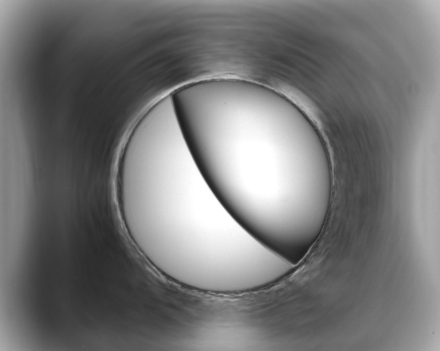 X0000088721104200705311052