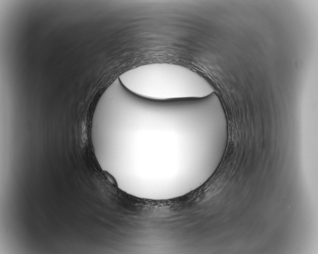 X0000088721106200705311051