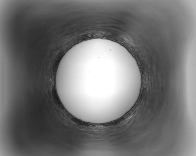 X0000088721109200705311052