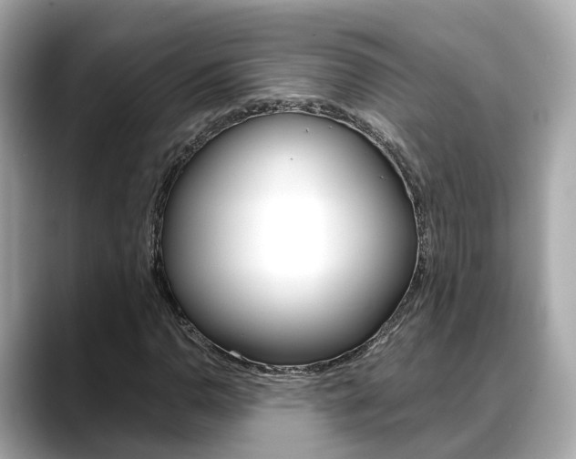 X0000088721110200705311052