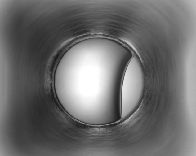 X0000088721115200705311052