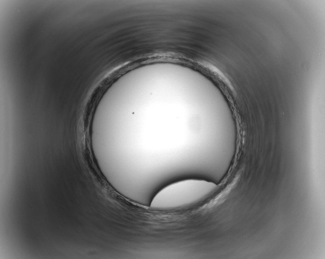X0000088721117200705311052