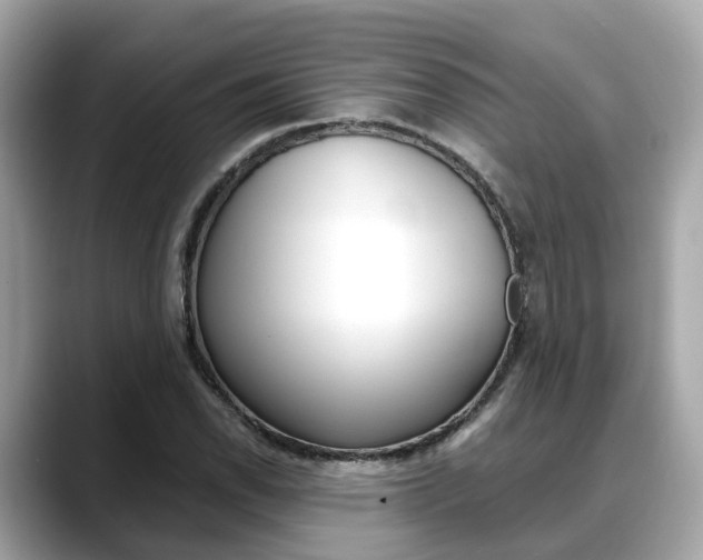 X0000088721118200705311052