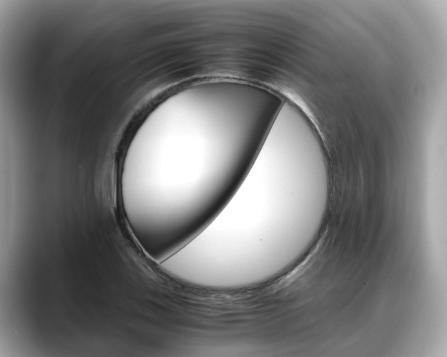 X0000088721123200705311052