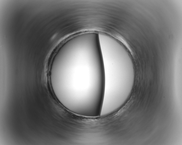X0000088721124200705311052
