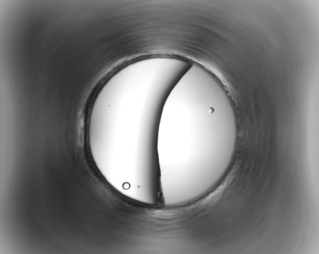 X0000088721126200705311052