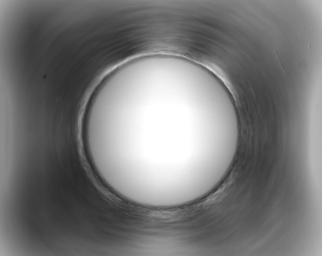 X0000088721128200705311052