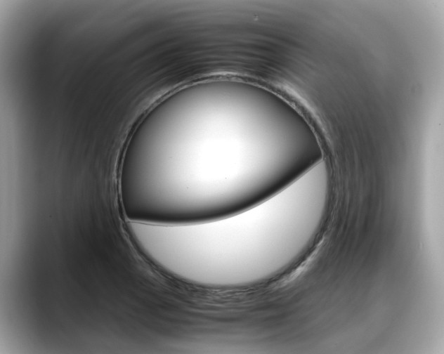 X0000088721129200705311052