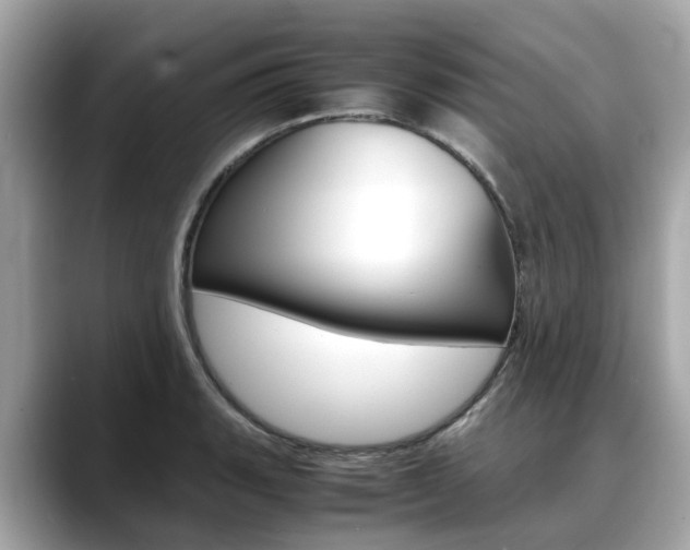 X0000088721135200705311052