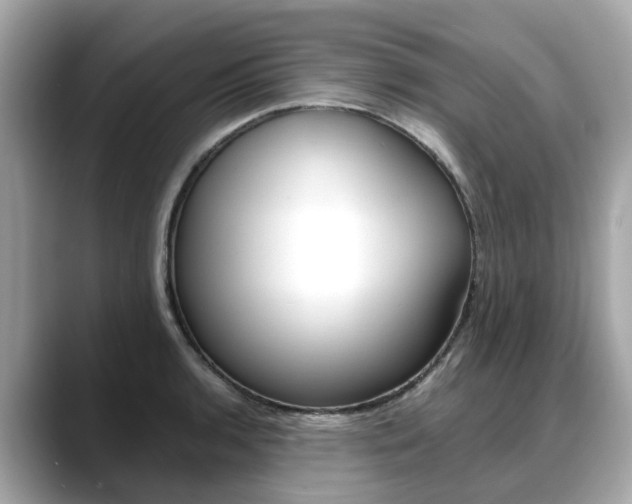 X0000088721136200705311052