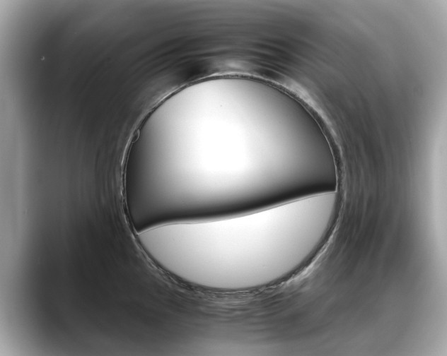 X0000088721145200705311052