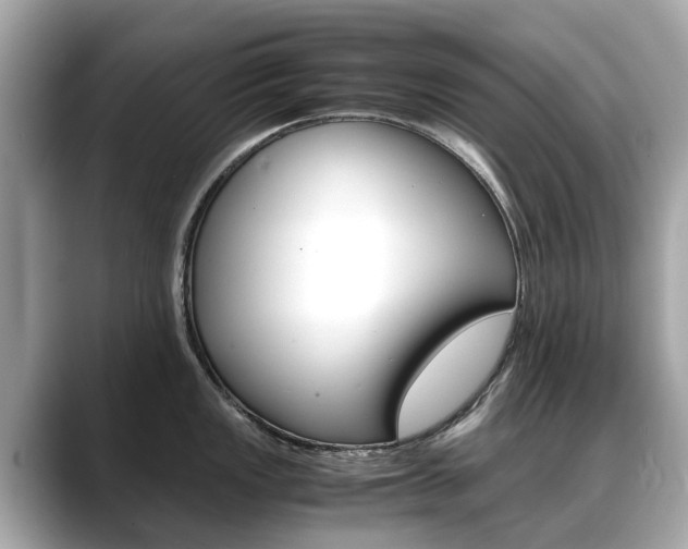 X0000088721149200705311052