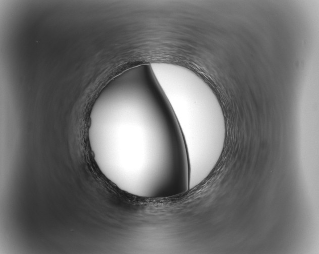X0000088721153200705311051