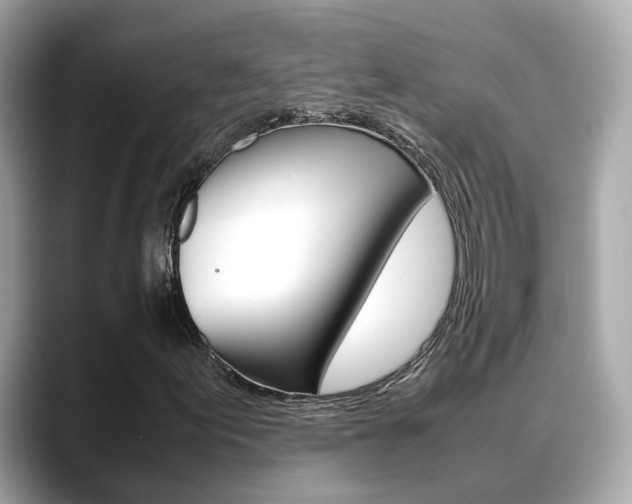 X0000088721155200705311051