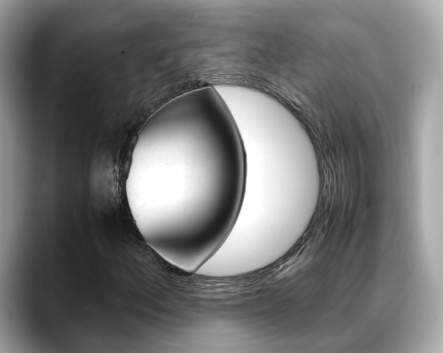X0000088721156200705311051