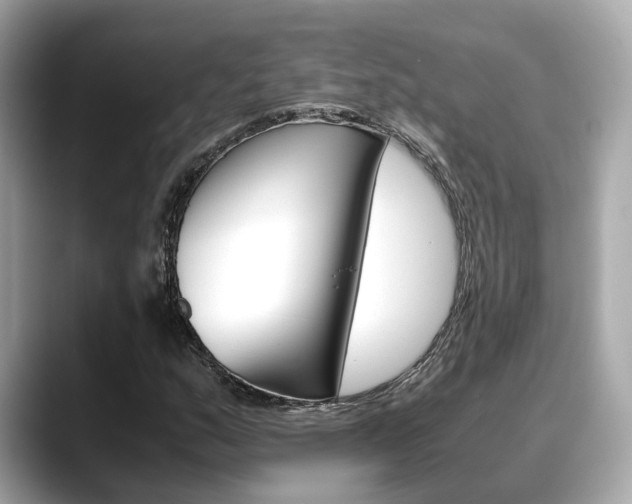 X0000088721159200705311051