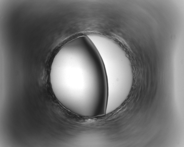 X0000088721160200705311051