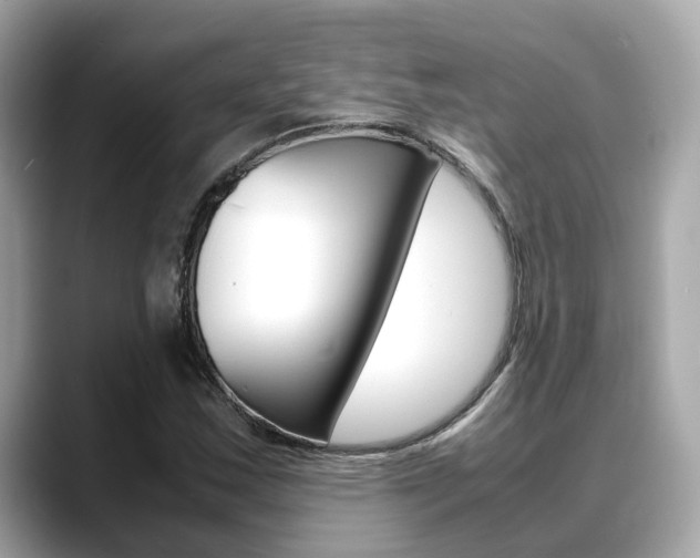 X0000088721163200705311051