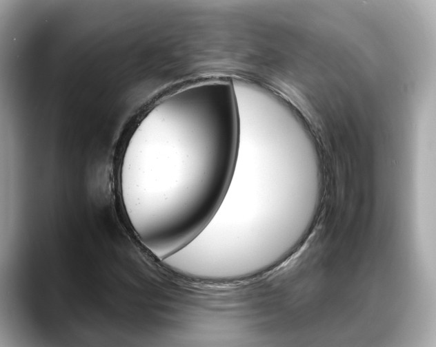X0000088721164200705311051