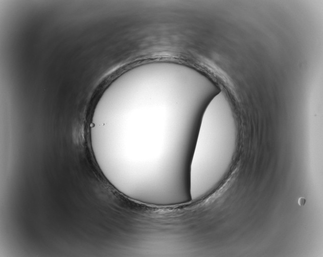X0000088721166200705311051