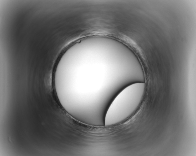 X0000088721174200705311051