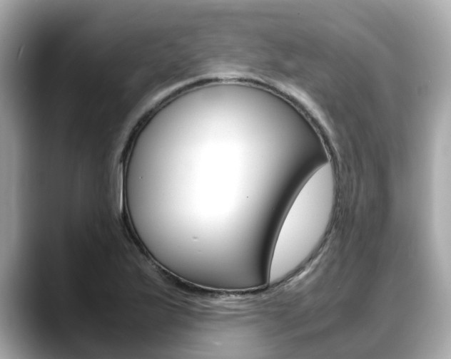 X0000088721175200705311051