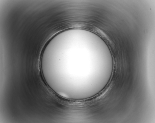 X0000088721178200705311051