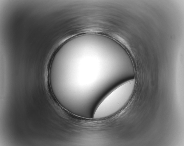 X0000088721179200705311051