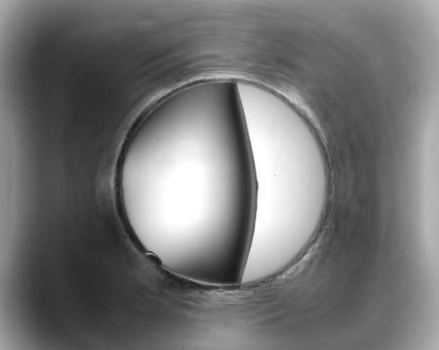 X0000088721181200705311051